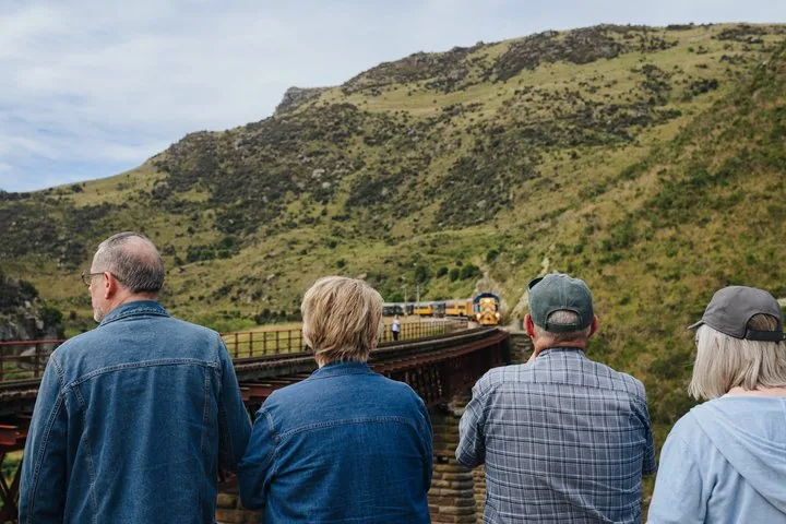 People standing on a bridge watching the train approaching through the landscape
