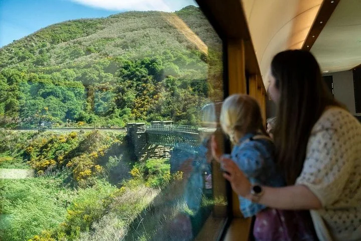 Mother and child looking out the window of a train at a bridge